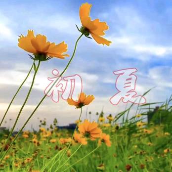 🥀এ᭄初夏꧔ꦿ᭄💞