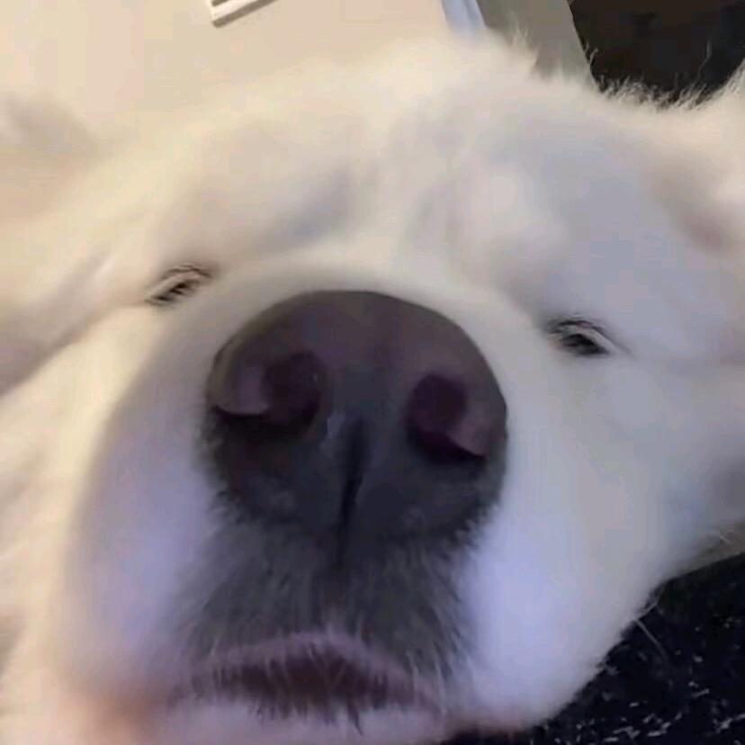爱喝凉白开
