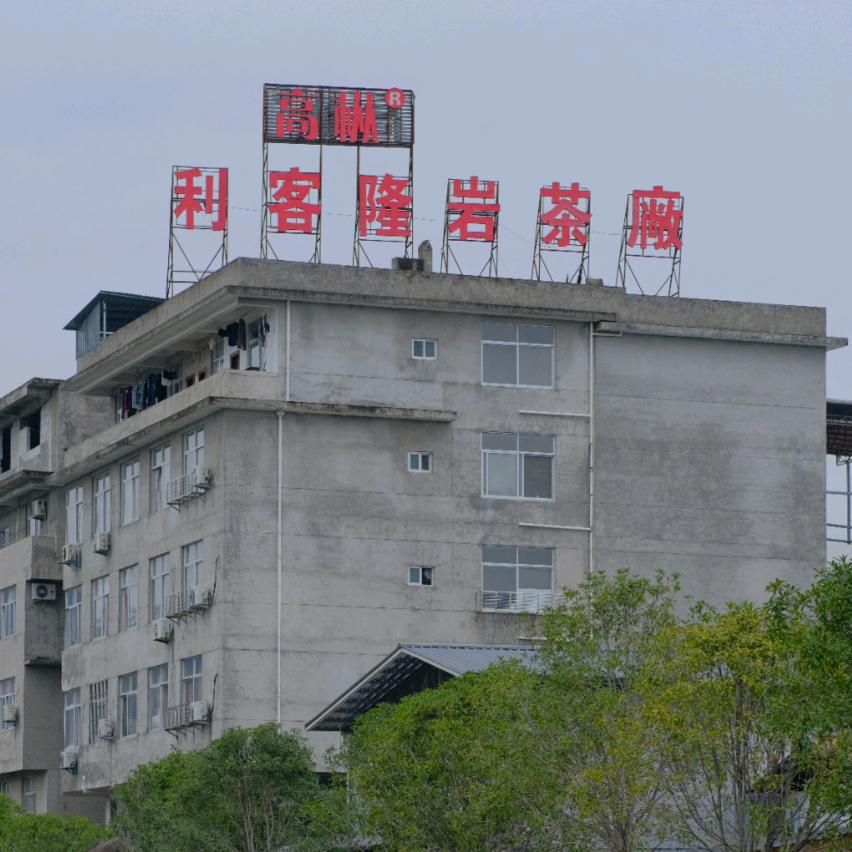 乡村妇女创业园：女高级制茶师