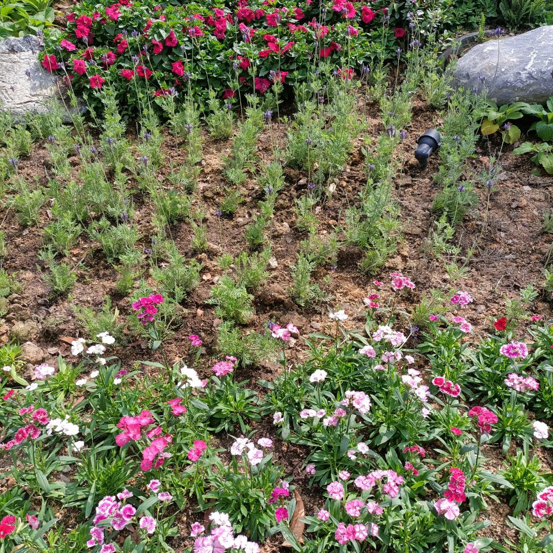 爱做白日梦的我