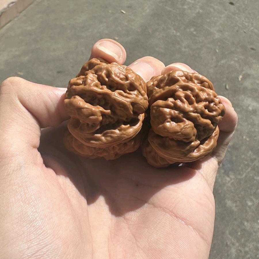 …