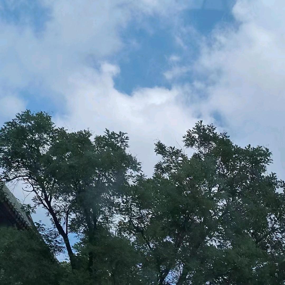 不发枪就肘击你