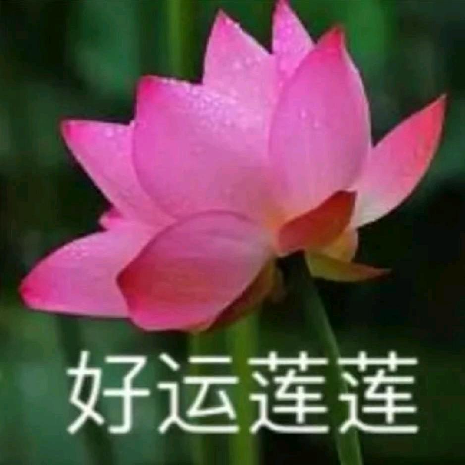 《随意而安》