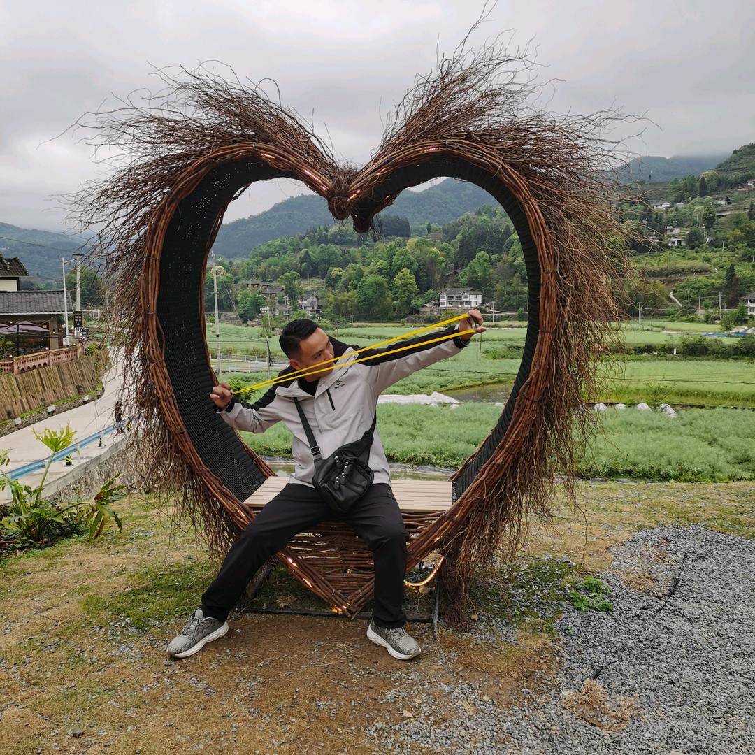 弓成名就(黔山云雾茶业)