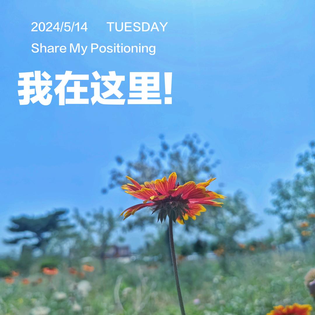 清风悦心谣