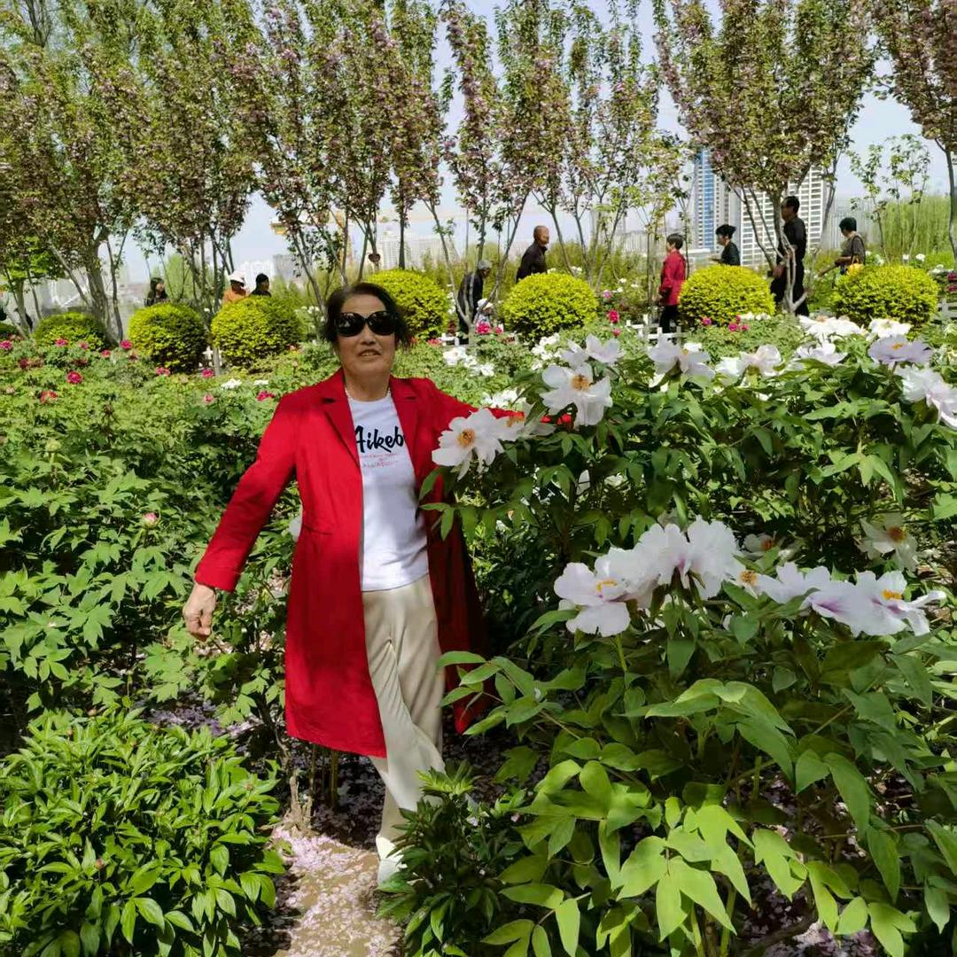刘姐