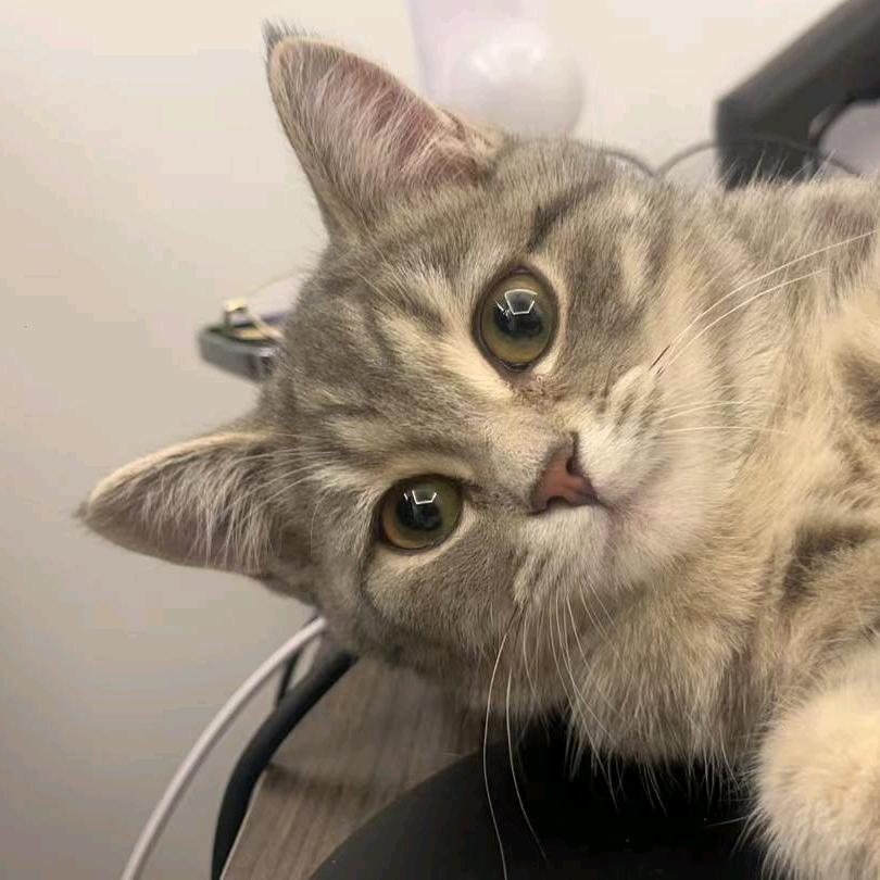 ᥫᩣ💞᭄独宠᪲ꦾ一人ꦿᩚᭁ¹⁶⁸⁸