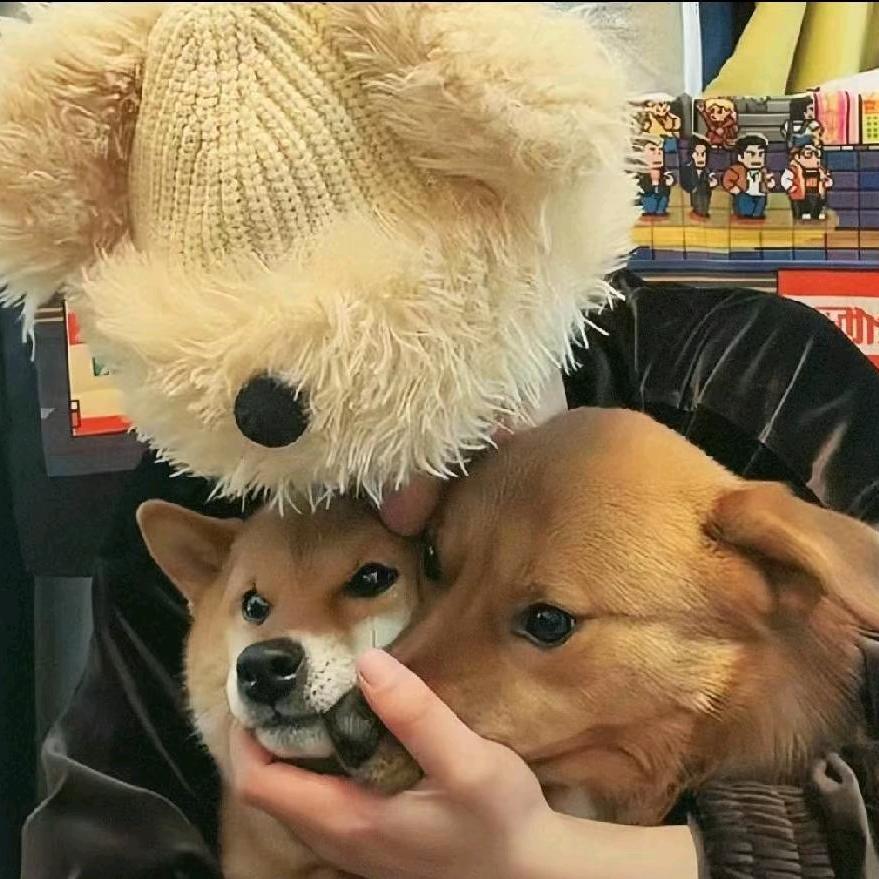 小明好物分享🌺