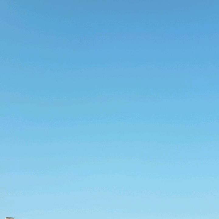 真爱一生