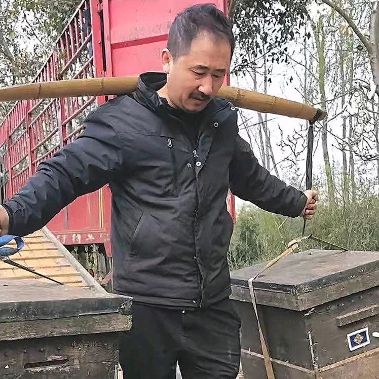 卡楞的二嫂