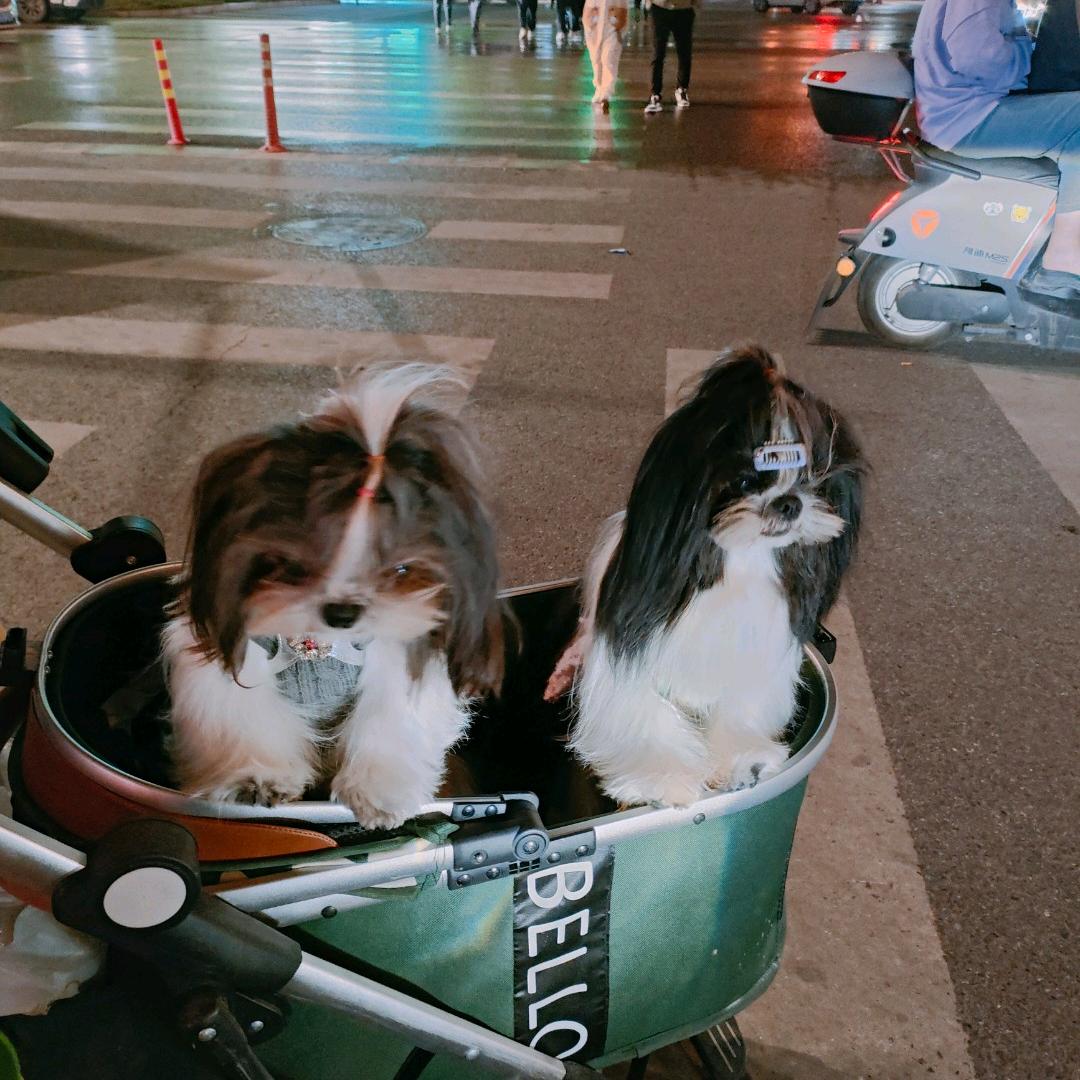 仿若昨天