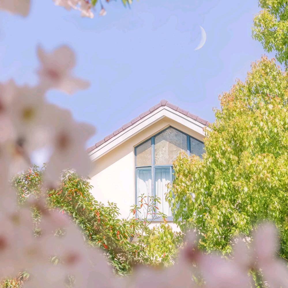 与张同行~好物分享