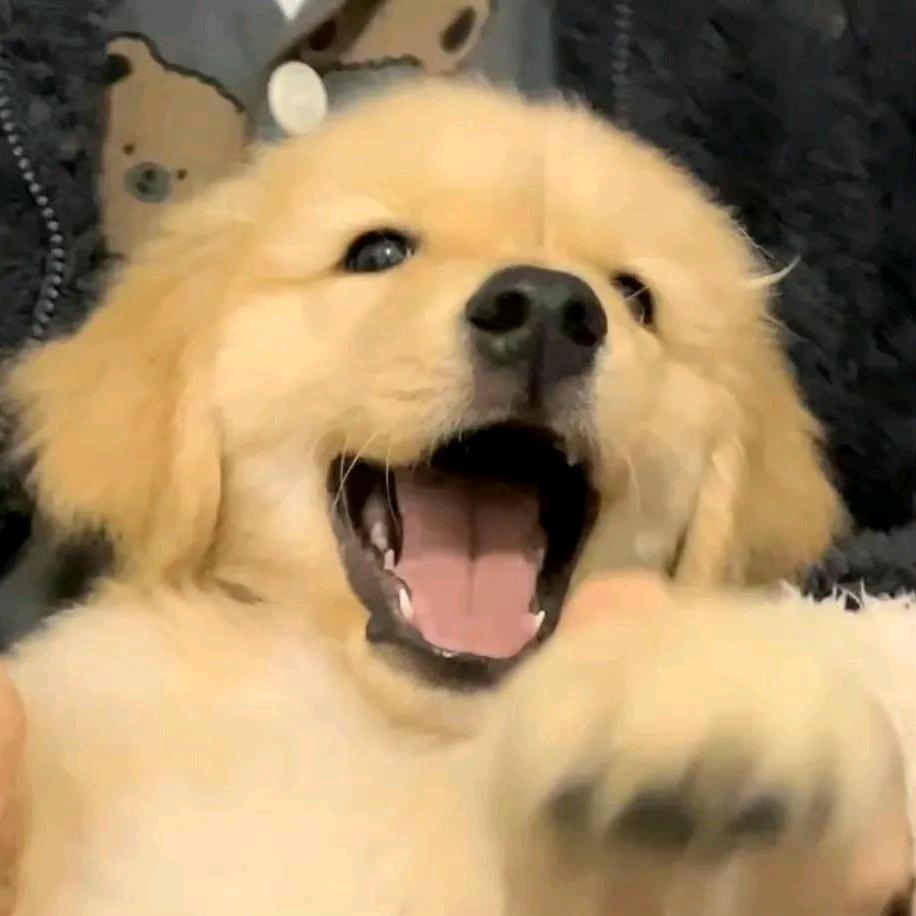 在播什么歌