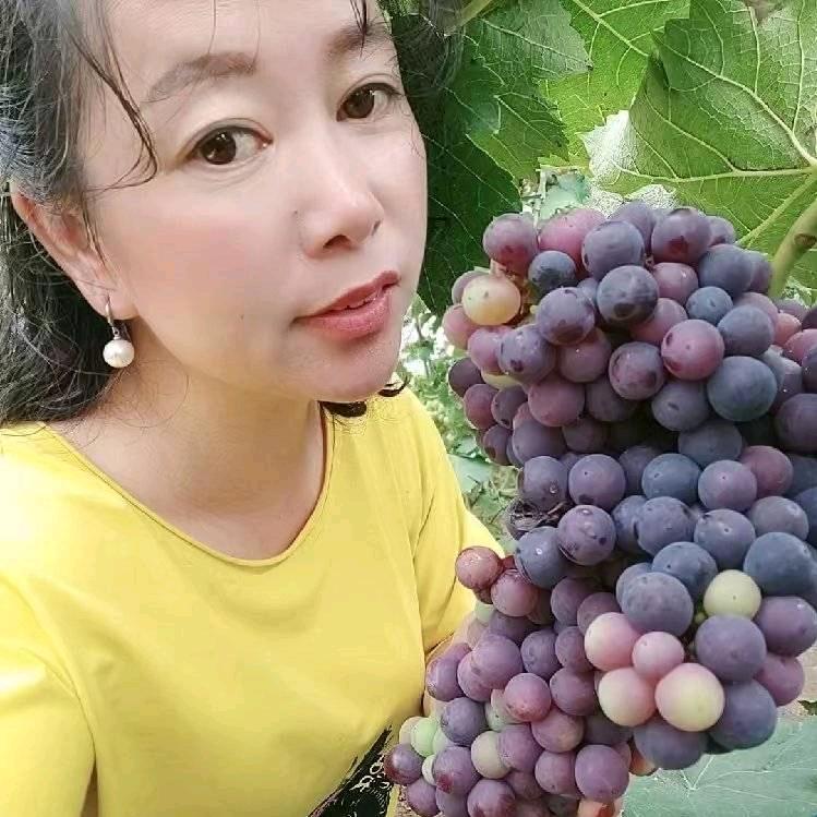 曼珠沙华&