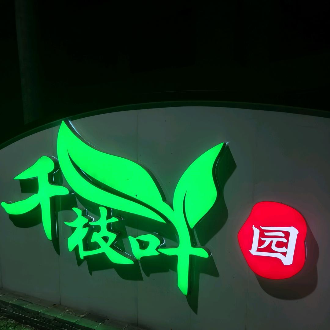 安吉千枝叶白茶厂（昆铜核心产区）