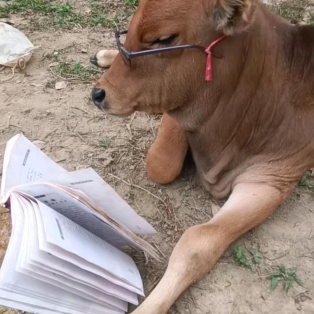 一天
