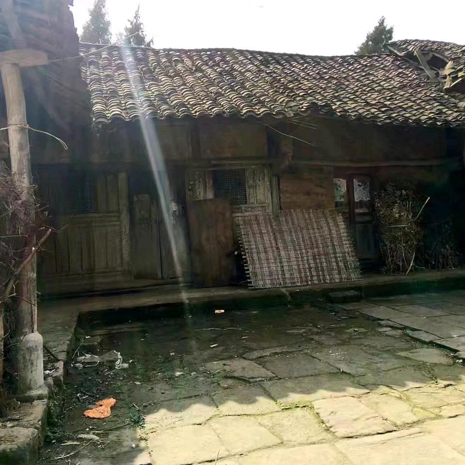 情深似海²⁸⁸🌸🌸