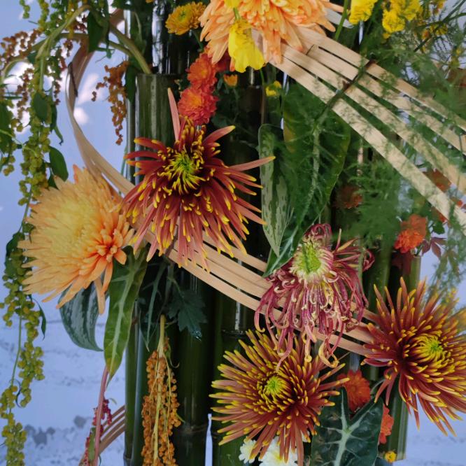 紫opoo布opnbfykjvhegl.