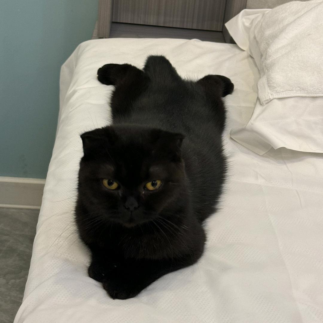 雷迪森游泳教练小周❤