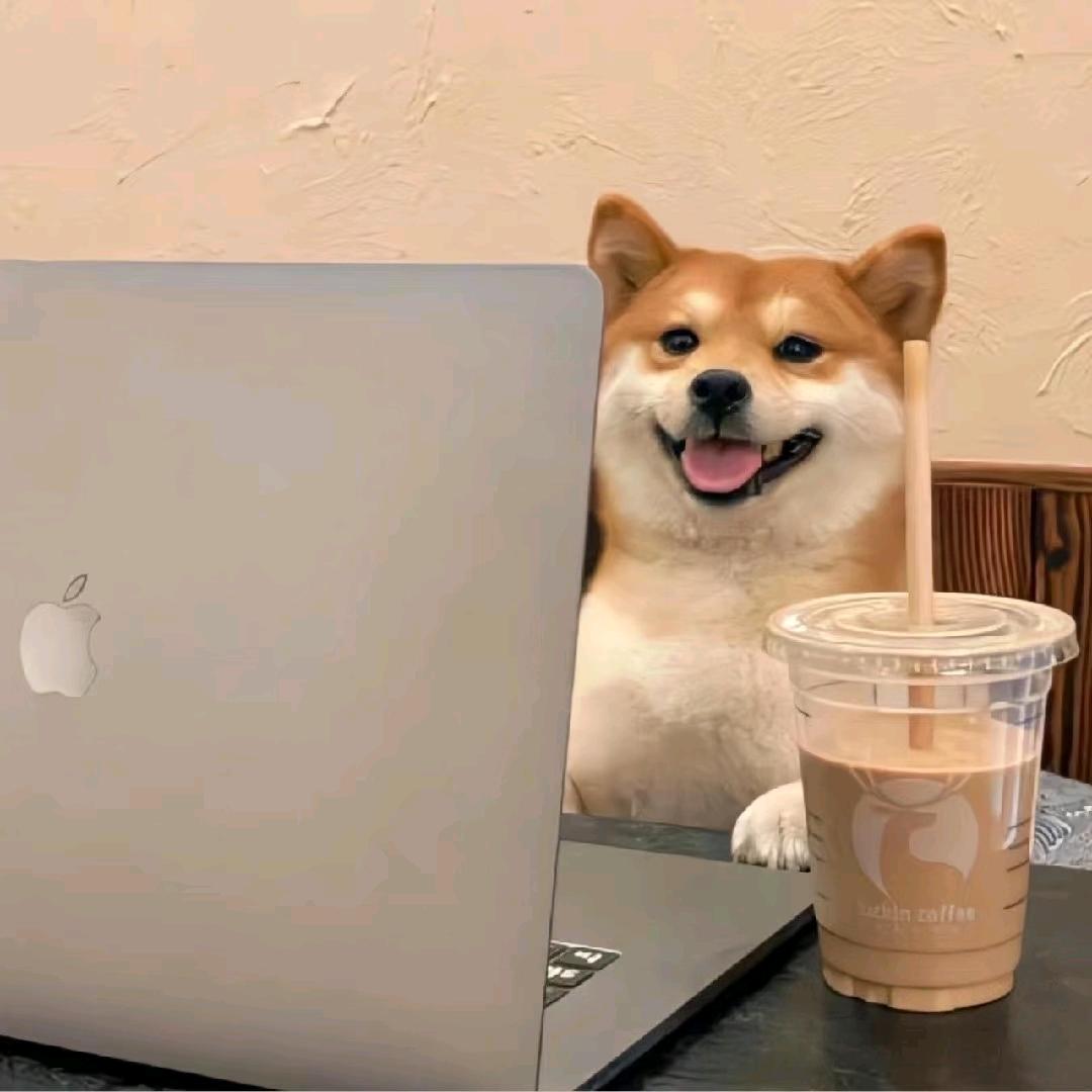 画画的米洛