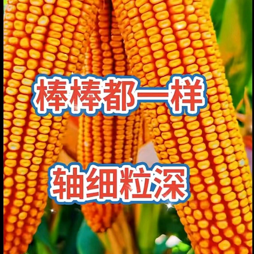 新亚农资