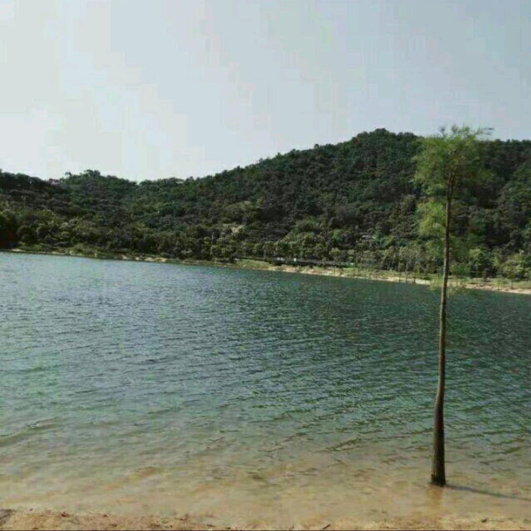 专业搬家+搬运+拆装