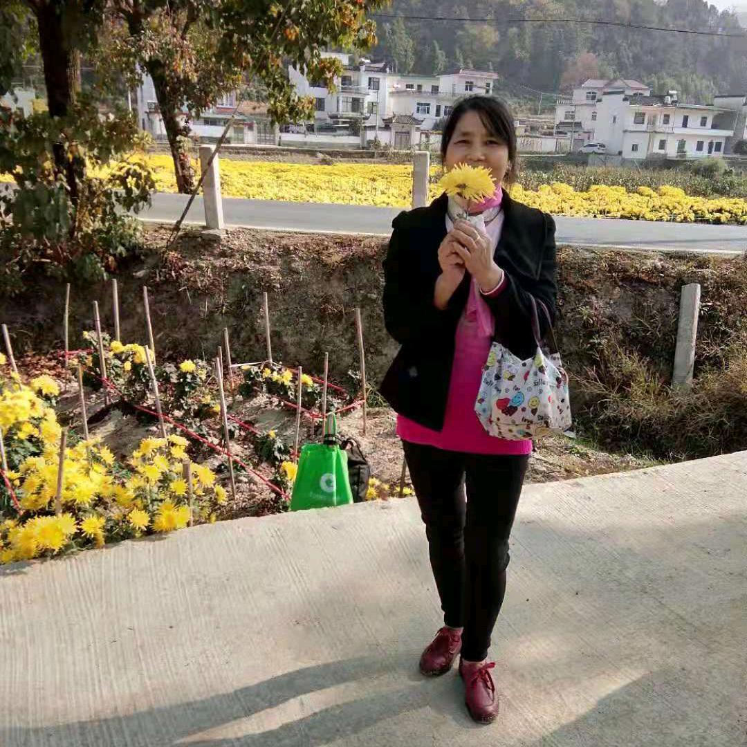 叶家六妹