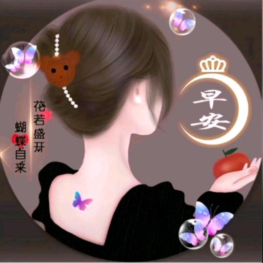 智慧🌻