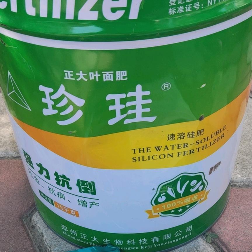正大珍硅