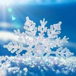 阳参谋（承接各种工程、渣土沙石运输）