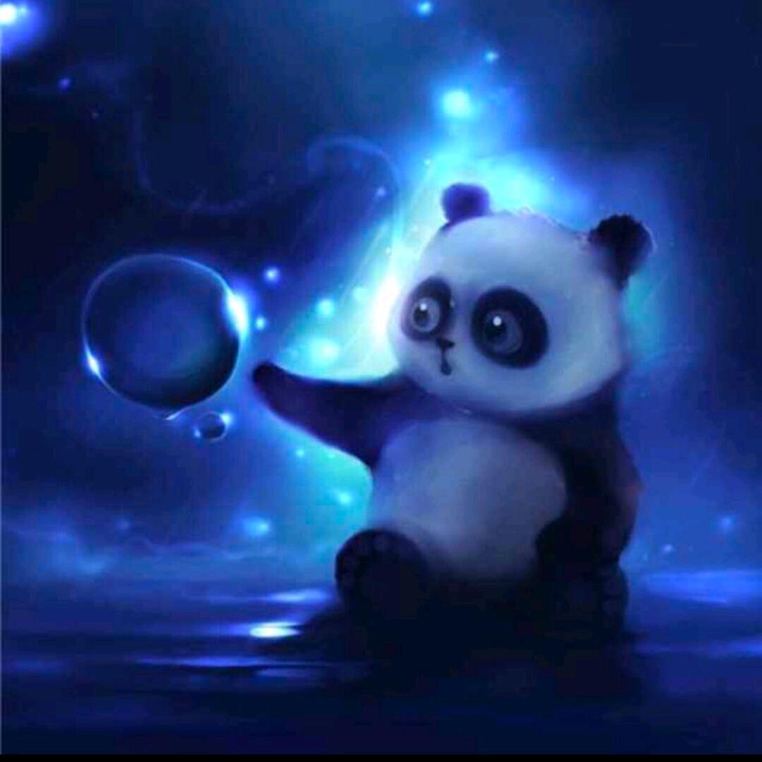 书熊熊