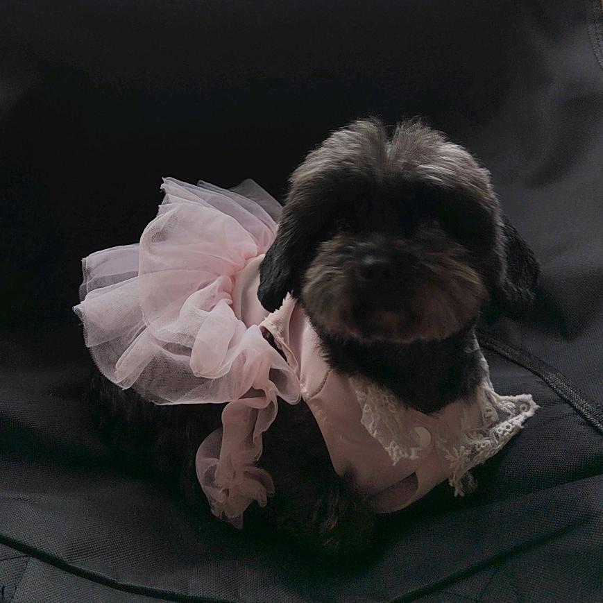 一碗酸辣螺蛳粉