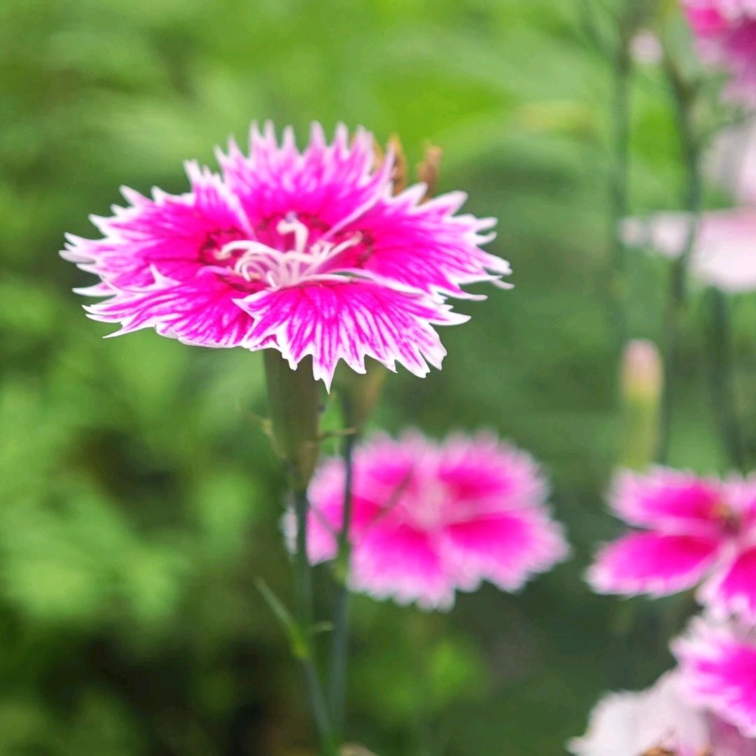 香港中环大牌好物