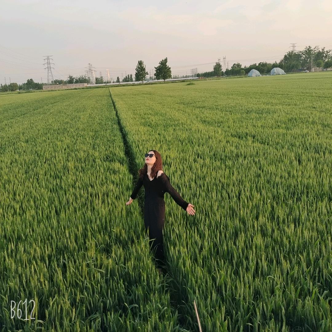 驾校招生大毛晴