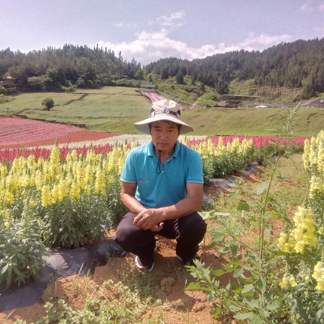 绿水青山