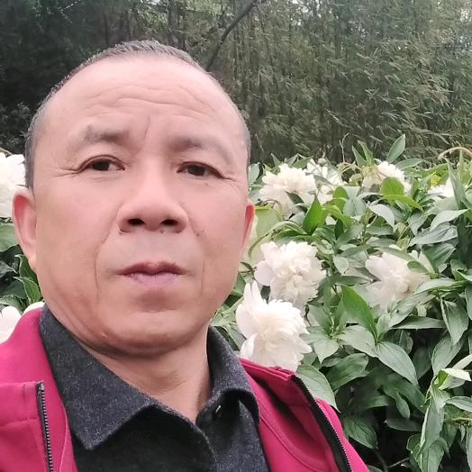 鼎盛农邦农业服务中心（中江田田圈唐政富店