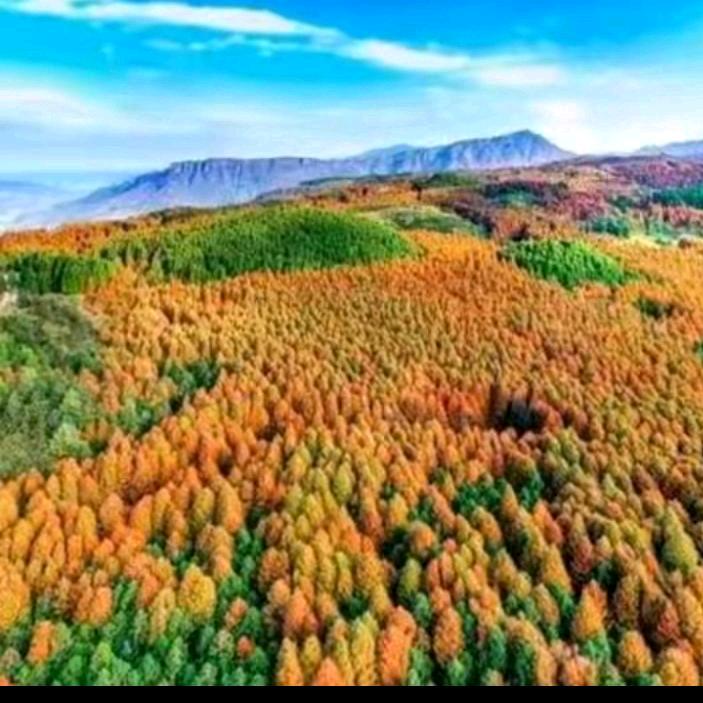 70后的白发小姨