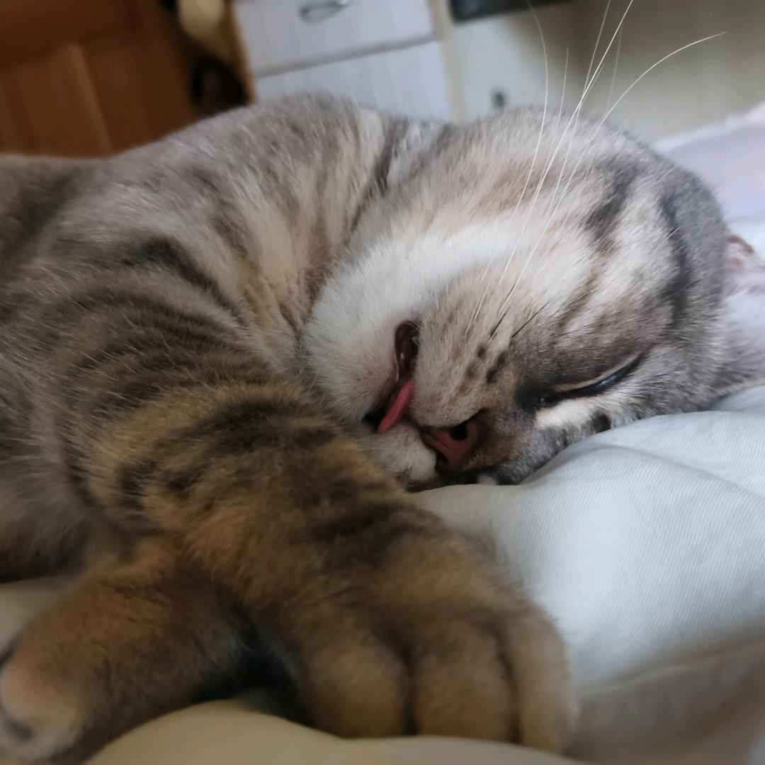 嘻嘻还是不嘻嘻