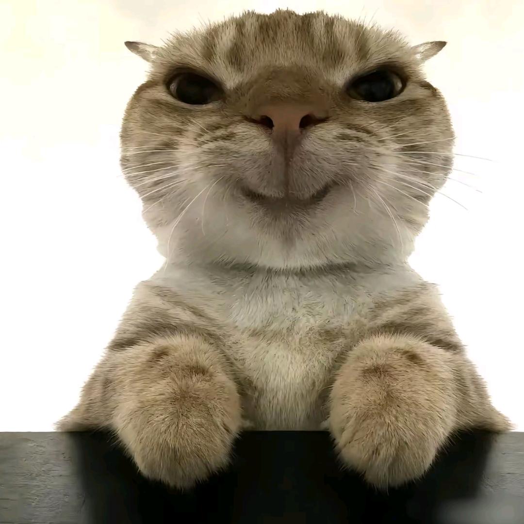 李荣占精选百货小铺