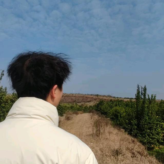 杰杰