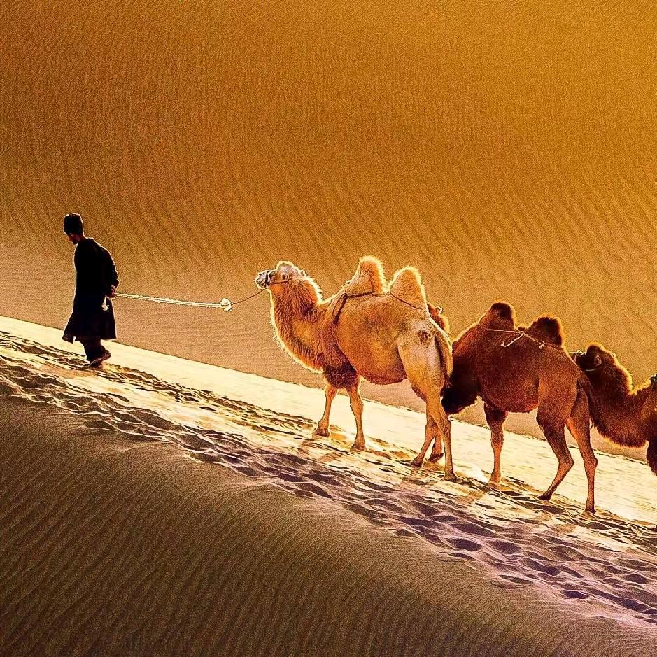 海纳百川（承蒙厚爱）