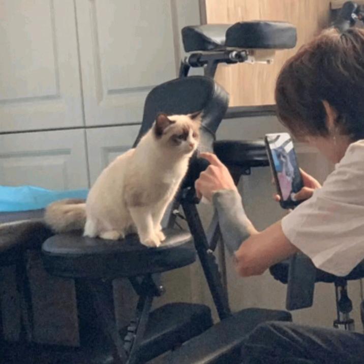 把糖还给我好不好