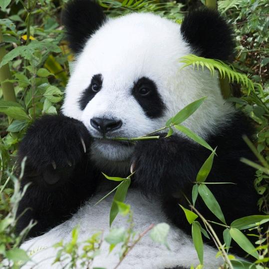 成长的代价
