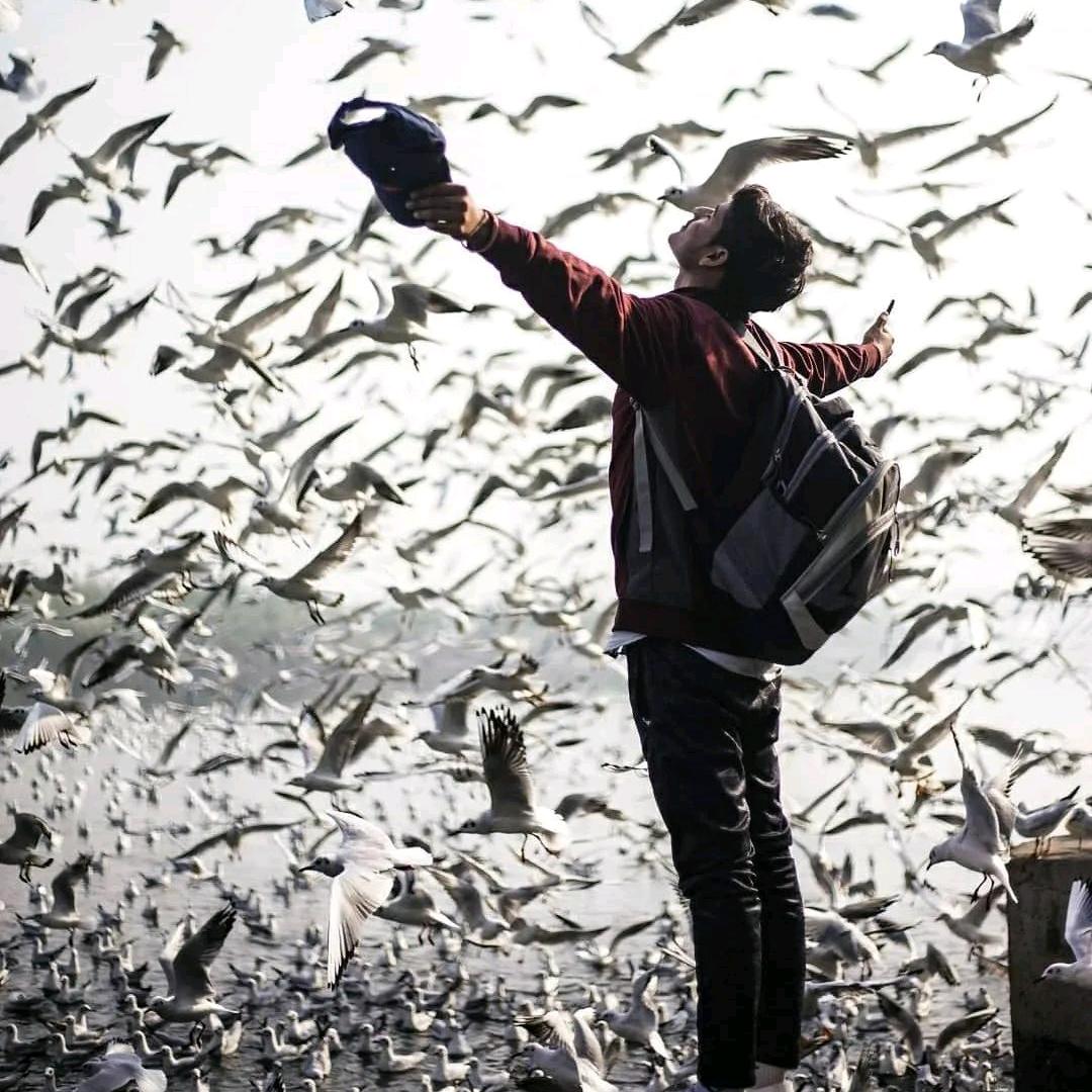 Fly.7