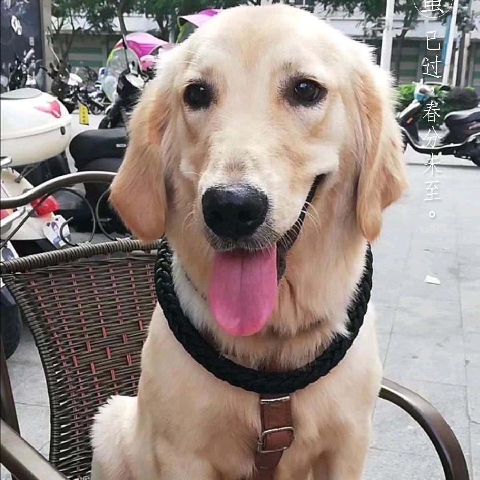 厦门最帅农民工