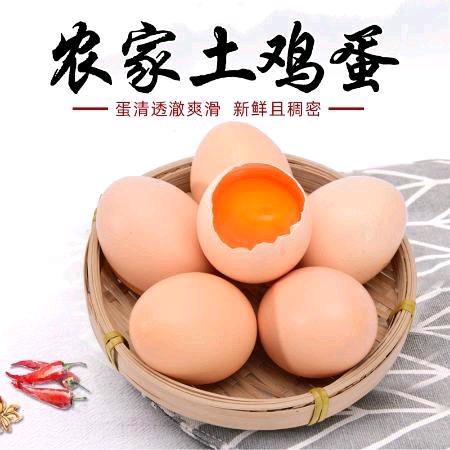 小蒙土鸡蛋批发零售