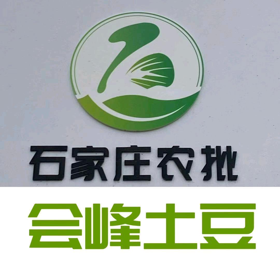 会峰精品土豆批发