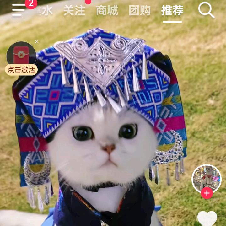 静心思雨