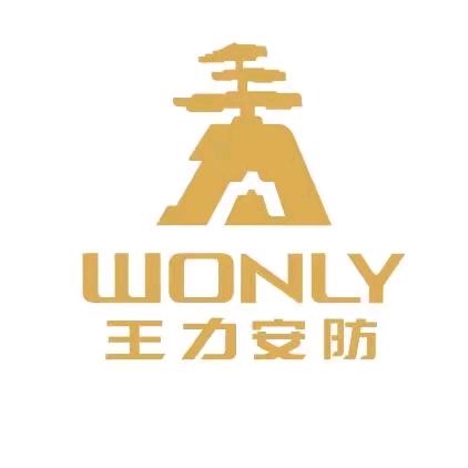 王力安全门