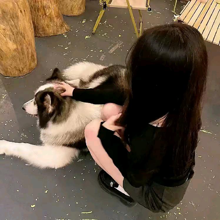 废物小小修莞.🐰